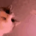 Dead server join new one's icon