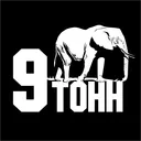 🐘9 ТОНН