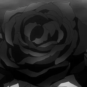 Black Rose | Игровой сервер ROBLOX — мониторинг Discord сервера, статистика и рейтинг