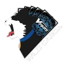 Team WildCards