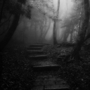 𝐓𝐡𝐞 𝐃𝐚𝐫𝐤 𝐋𝐚𝐧𝐝 𝐎𝐟 𝐊𝐞𝐭𝐬𝐮𝐤𝐢