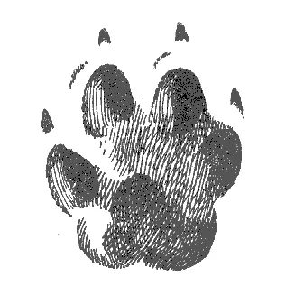 🐾NekoRP🐾 - Discord Server 🐾NekoRP🐾 - Discord Server