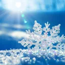 The Snow Globe