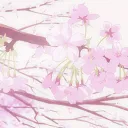 ꒷꒦🌸𝚃𝚑𝚎 𝙱𝚕𝚘𝚜𝚜𝚘𝚖 𝚃𝚛𝚎𝚎✿×