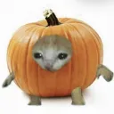 🎃The creature's feature, FEATURING: The creature. 🐱