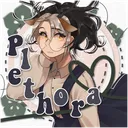 Plethora