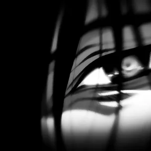 Dark Raven — мониторинг Discord сервера, статистика и рейтинг