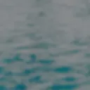 didders dang server