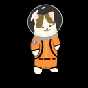 Jay's Space