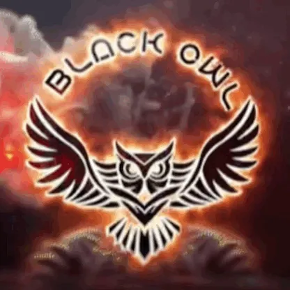 🦉OWL — мониторинг Discord сервера, статистика и рейтинг