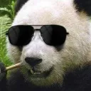 The Panda Pugilists (6/23/26)