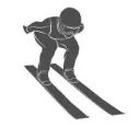 Ski Jumping Manager (Stary)
