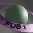 The Pub discord icon