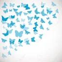 The Official Butterfly Server🦋