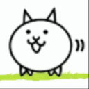 芒果教徒聚集地