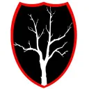 Obsidian Grove