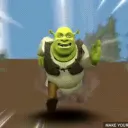 Shrek’s Swamp