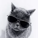 猫大好きクラン☆ 受付