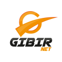 Discovery icon for GIBIRNet | gibir.net.tr Discord server
