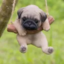 cachorro sem pika