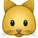 Kat