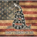 Conservative Constitutionalists