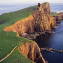 Anora (18+) Server Icon