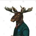 Moose's server