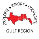 GULF Region Pathfinders