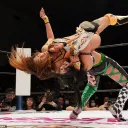 Puroresu Heaven- Japanese Wrestling