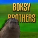Boksy Brothers