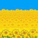 bre's sunflower field