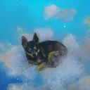 Doggo Land