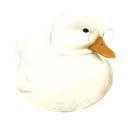Cute Ducklings