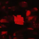  QTHUGS Discord Server Icon