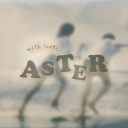 aster icon