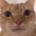 random server's icon