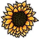 Adimara’s Sunflower Squad