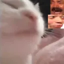 Emote spam server