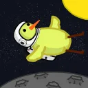 The Chicken Space