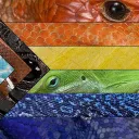 the Reptillian states of LGBTMC