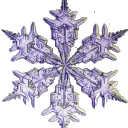 Snowflake ⛄'s icon