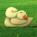 Duck Lands