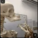 Simplicity #4ever Discord Server Icon