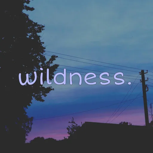 🌵🌺wildness.☄ — Дискорд Сервер