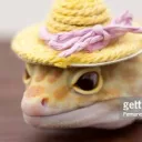 Epic Lizard Gaming