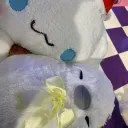 きなこのお遊び部屋