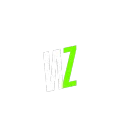 WHIZZER GAMING
