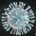 Florida Coronavirus