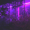 ⋘≺⋰ցհටʂէįƐ ӀȺղժ⋱≻⋙